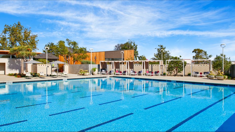 Olympic lap pool